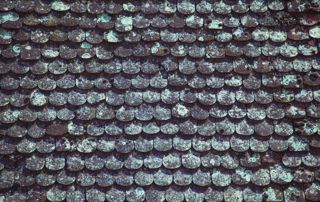 veriuderd-dak-schimmel-dakpannen-footer